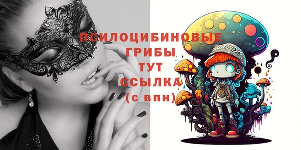 крисы Алзамай